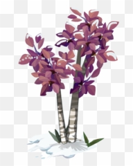 Download Aspen - Tree Png,Aspen Tree Png