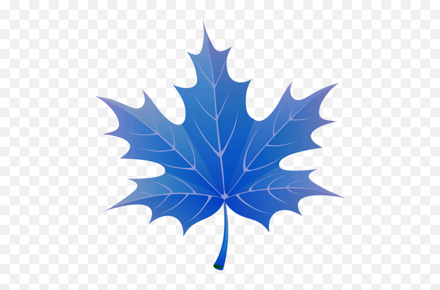 3d Autumn Maple Leaves Free 150 Download Android - Transparent Spring Leaves Png,Maple Leaf Icon