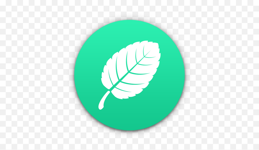 Mint Theme For Rapidweaver - Clip Art Png,Mint Icon