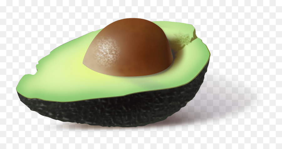 7 Reasons Why You Should Eat An Avocado Daily - Wellness Twins Avocado Png,Avacado Icon