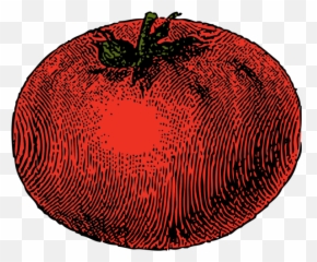 Tomato Png Svg Clip Art For Web - Download Art Vegetable Vintage Vector Png