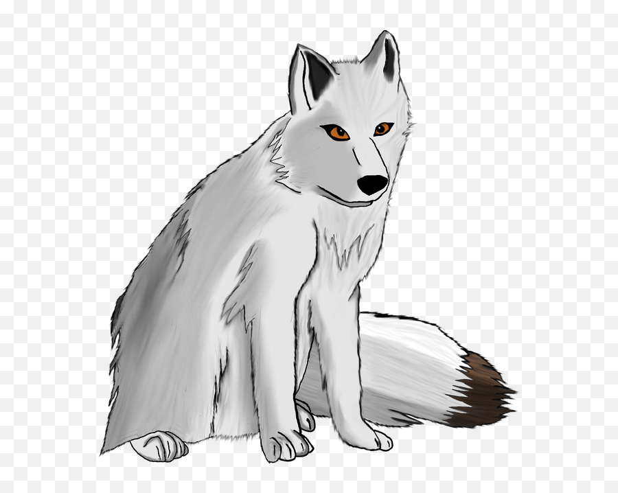 Download Free White Fox Arctic Png Image High Quality Icon - Step By Artic Fox Drawing Easy,Arctic Fox Icon