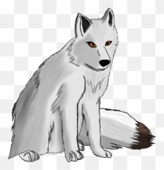 Download Free White Fox Arctic Png Image High Quality Icon - Step By Artic Drawing Easy