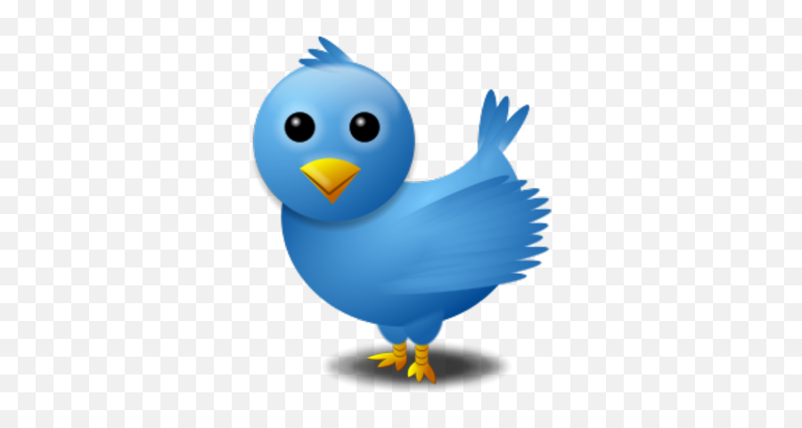 Download Twitter Bird Logo Psd - Twitter Search Png Png,Twitter Bird Icon