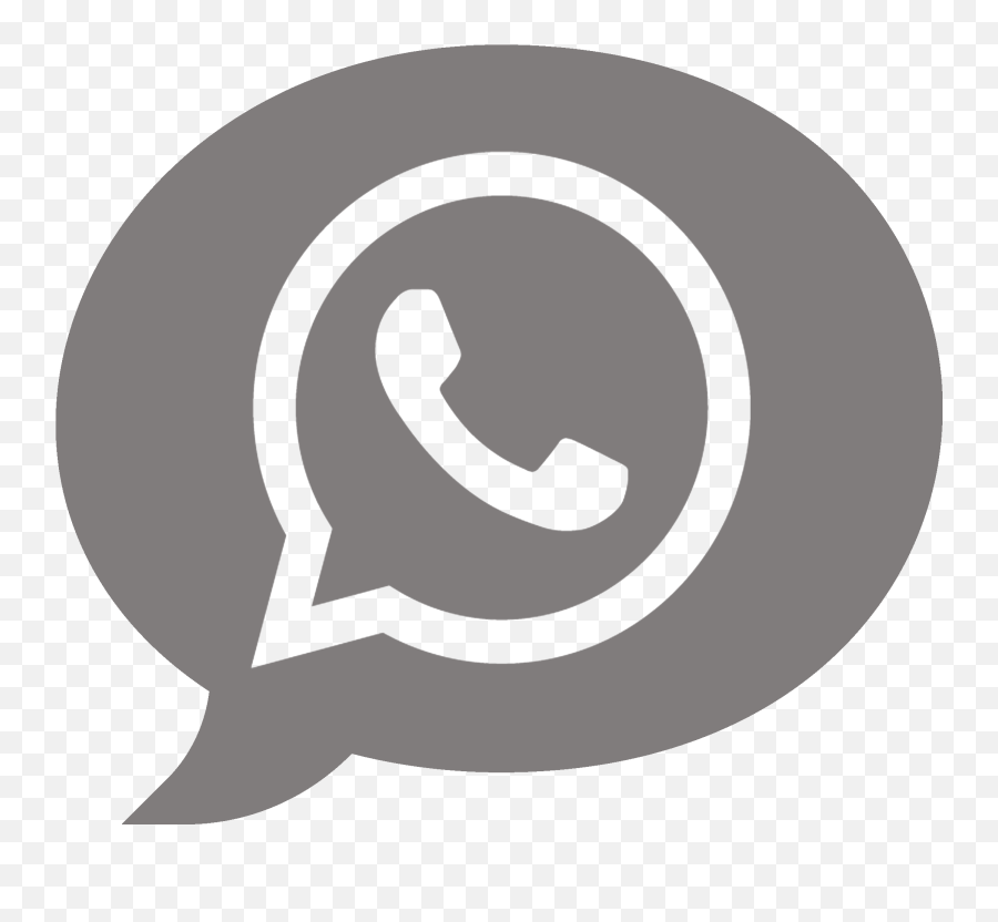 Tellephant - Your Customers Are On Whatsapp Be There For Them Whatsapp Logo Png Green,Features Icon Vector
