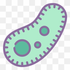 Bacteria Icon In Cute Color Style - Harischandra National College Negombo png