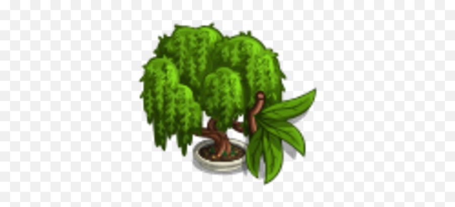 Weeping Willow Bonsai Tree Farmville Wiki Fandom - Bonsai Png,Weeping Icon