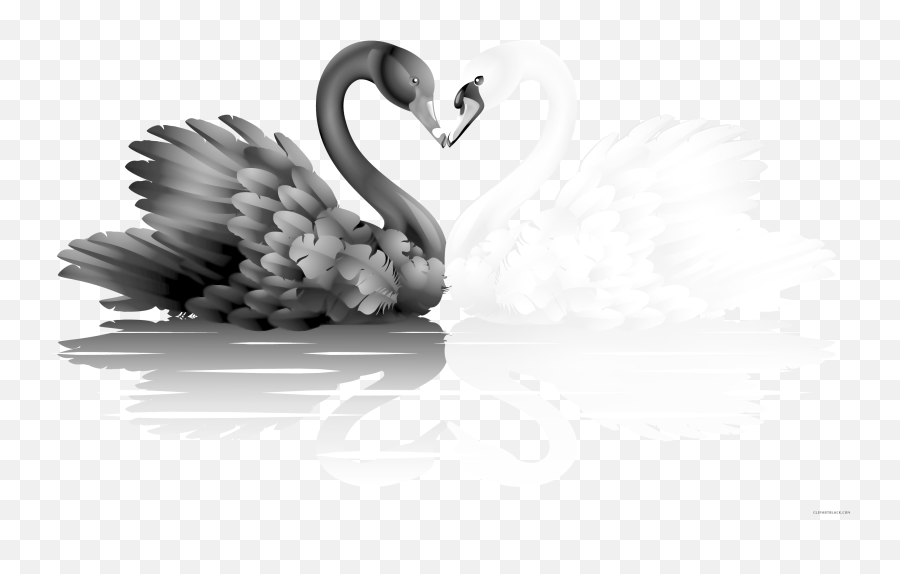 Clipartblack Com Animal Free Images - Black Swan Png,Swan Png