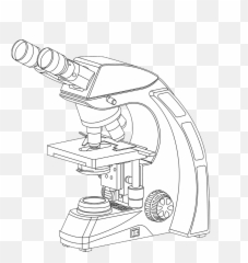 Hdmicroscope Zoetis Uk - Illustration Png,Microscope Transparent Background