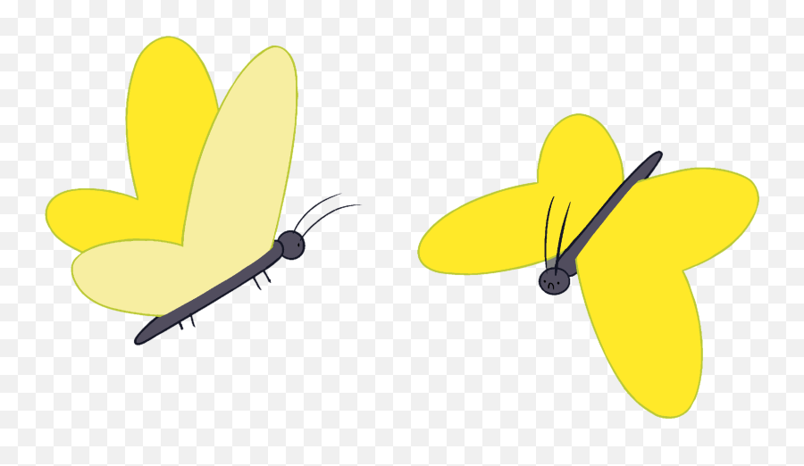 Butterfly Still Adventure Time Wiki Fandom - Adventure Time Butterflies And Bees Png,Adventure Time Logo Png