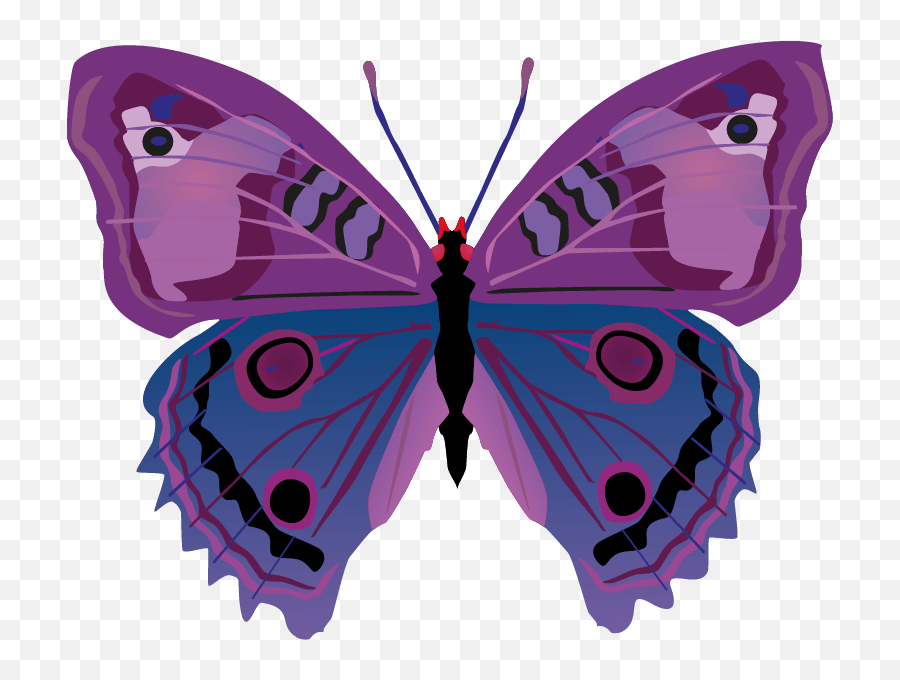Butterfly Png Images Download Vector - Cartoon Butterflies,Purple Butterfly Png