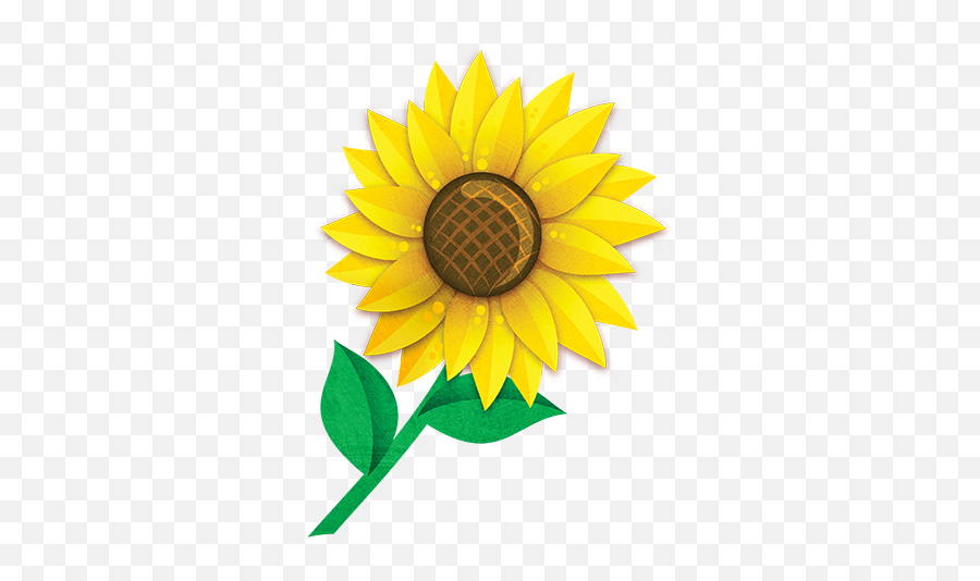 Sunflower Little Garden Png Sunflowers Transparent