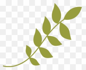 Hojas Verdes - Linea De Png HD Download