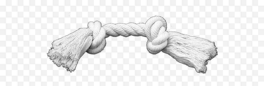 Cotton Rope Dog Toy Inch 2 Knot - Dog Toy Rope Drawing Sketch Png,Rope Knot Png