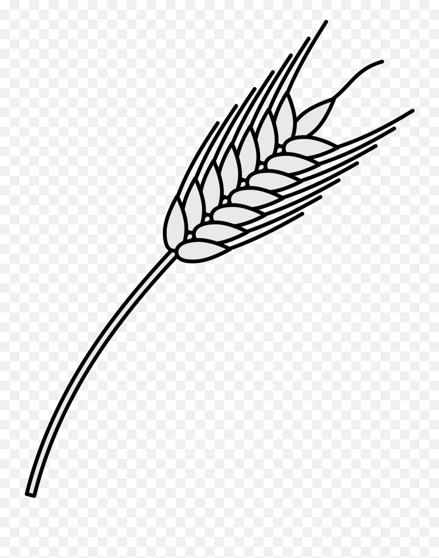 File Coa Illustration Elements Plant Svg Wikimedia - Wheat Heraldic Wheat Png,Wheat Transparent