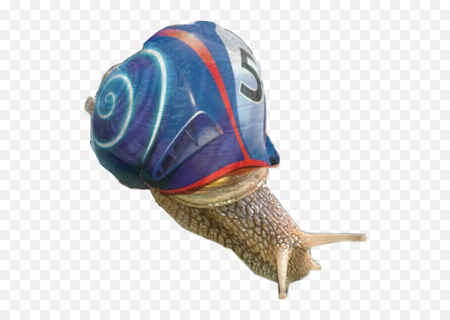 Snail Snailshell Turbo Freetoedit - Transparent Turbo The Snail Png,Snail Transparent