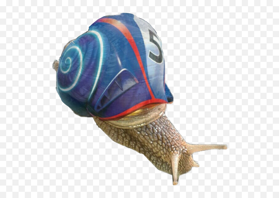 turbo the snail images clipart