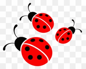 Ladybug Clipart Png - Ladybugs Clipart Free Download Clipart Ladybug Png Transparent,Ladybug Png