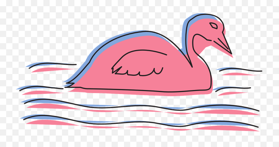 Water Pink Bird - Free Vector Graphic On Pixabay Duck Png,Water Ripples Png