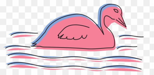 Water Pink Bird - Free Vector Graphic On Pixabay Duck Png,Water Ripples Png