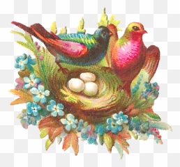 Free Digital Bird - Birds Png,Bird Nest Png