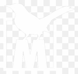 Project Mockingbird - Project Mockingbird Png,Mockingbird Png