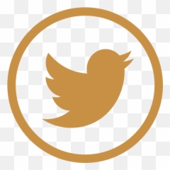 Download Twitter Icon Aesthetic Yellow Hd Png - Pink