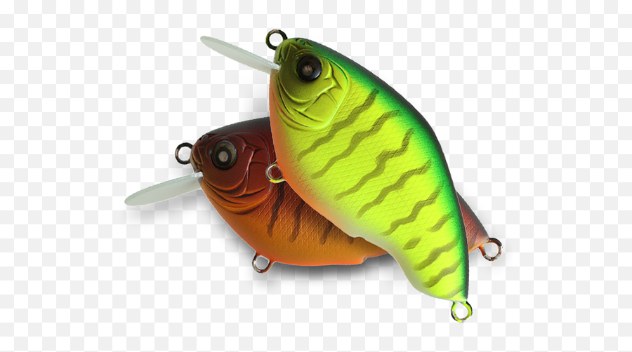 Bass Fishing - Pomacentridae Png,Fishing Lure Png