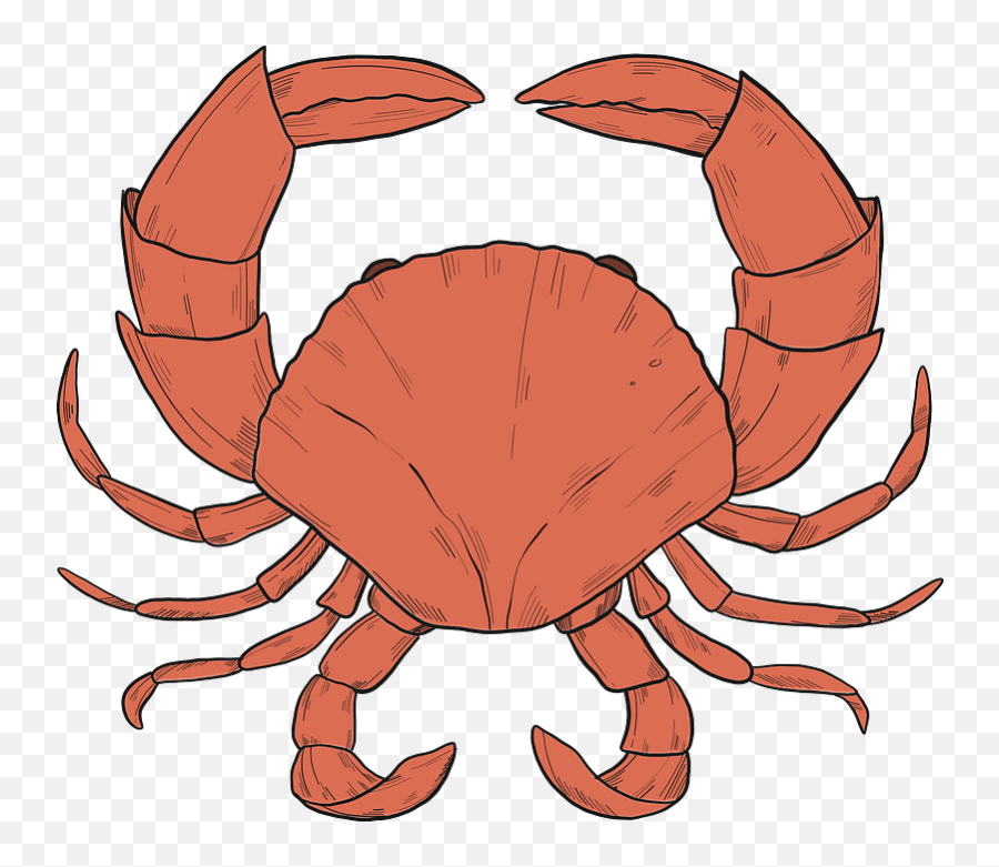 Clipart - Rock Crab Png,Crab Clipart Png