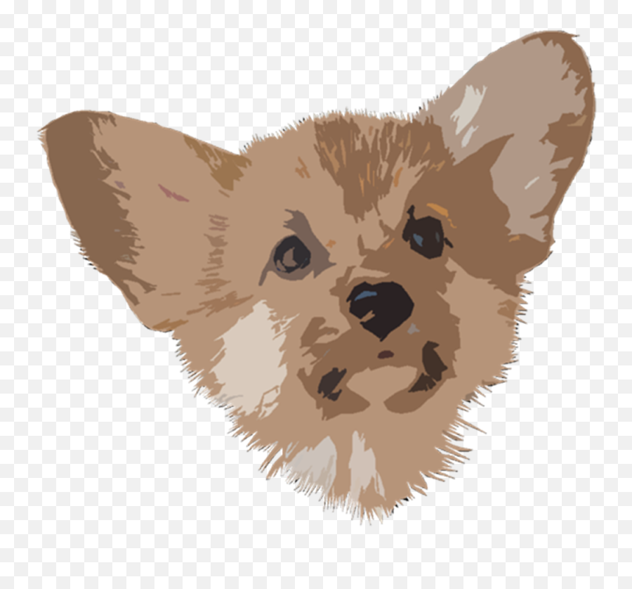 Pembroke Welsh Corgi - Hyena Png,Corgi Png