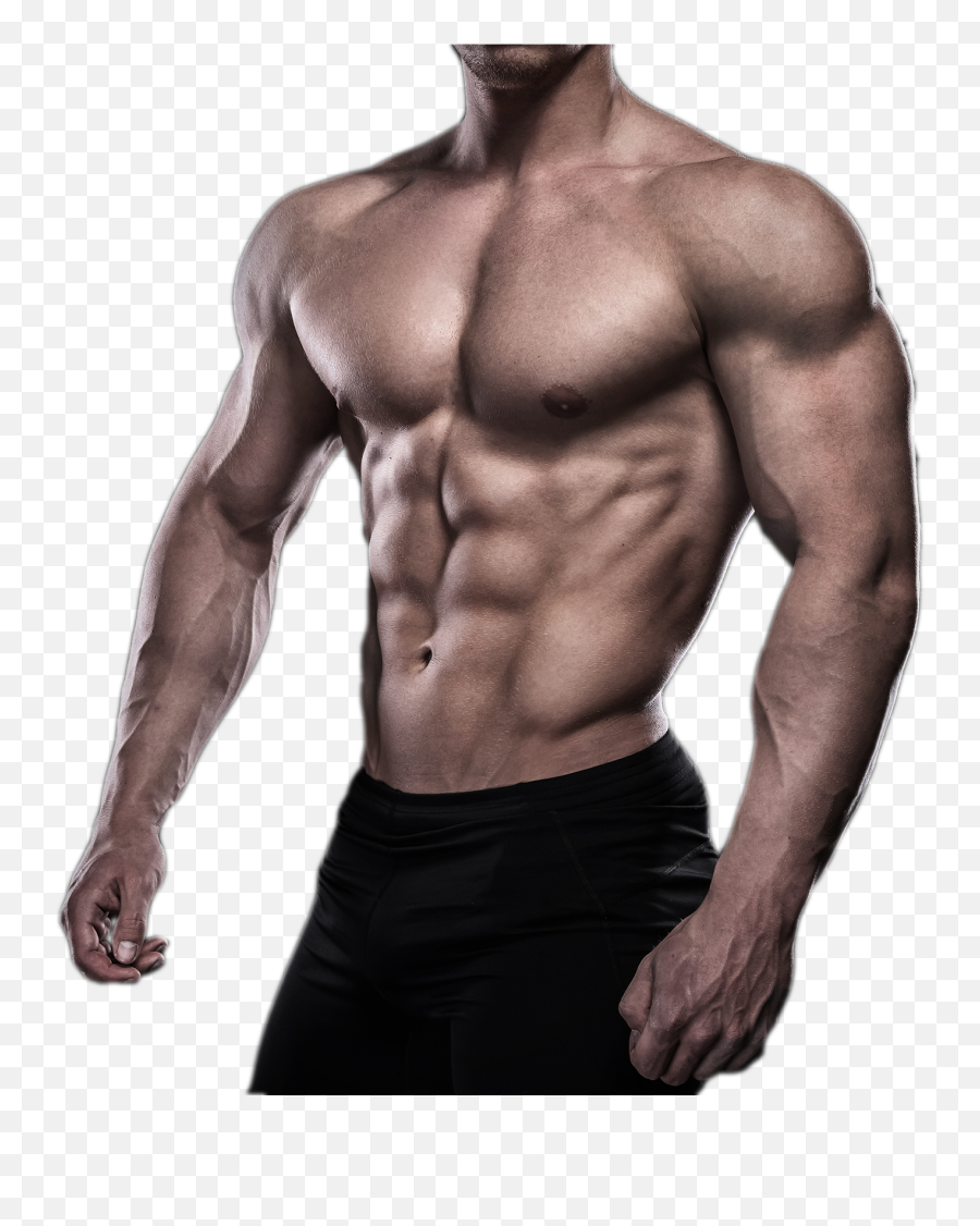 Physical Fitness Bodybuilding Muscle Tattoo For Men Hand Png Muscle Man Png Free Transparent Png Images Pngaaa Com - muscular roblox man