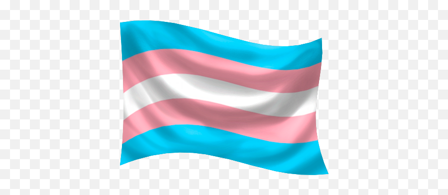 Gender Identity Pride Flags Glyphs - Vertical Png,Trans Flag Png