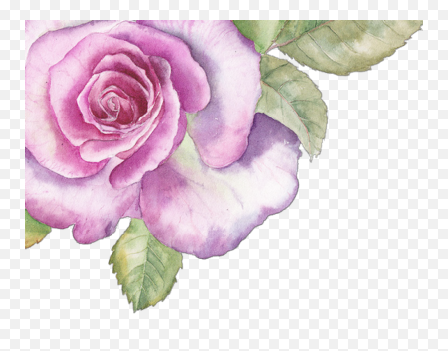 Download Hd Ftestickers Sticker - Pink Purple Watercolor Purple Watercolor Flower Png,Watercolor Flower Transparent Background