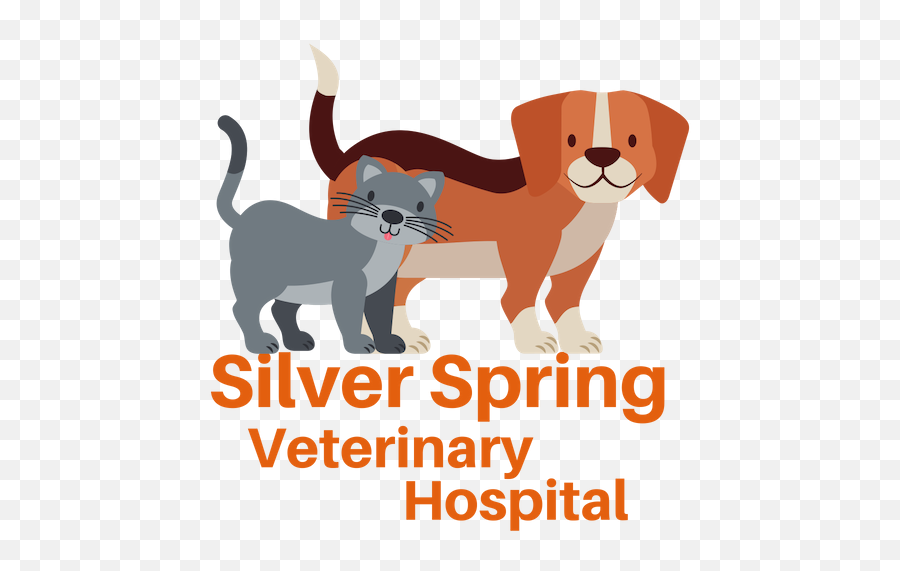 Silver Spring - Kitten Png,Veterinarian Png