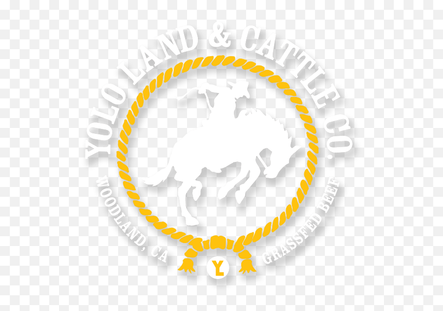 Yolo Land Cattle - Deeper Life Campus Fellowship Png,Cattle Brand Logo