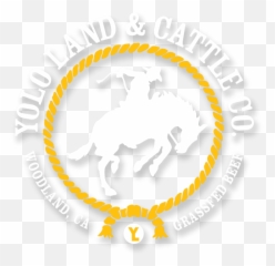 Yolo Land Cattle - Deeper Life Campus Fellowship Png,Cattle Brand Logo