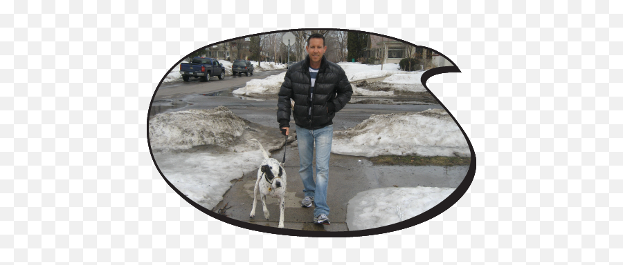 Services U0026 Rates Diggers Dog Walking - Leash Png,Dog Walking Png