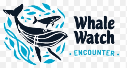Tour Fraser Island In A Hummer Then Enjoy Half Day Of - Whale Watching Logo png