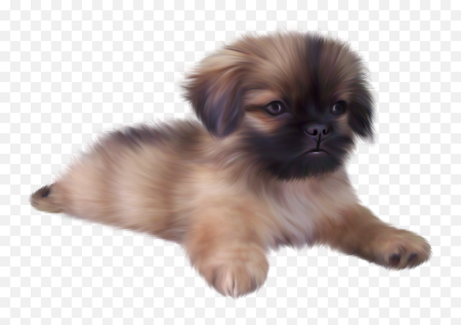 Dog Png Image Dogs Puppy Pictures Free Download - Pug And A Golden Retriever,Pet Png