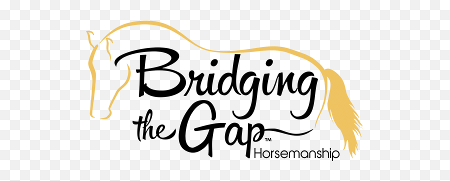 Bridging - Tipo De Sexy Shop Png,Gap Logo Png