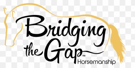 Bridging - Tipo De Sexy Shop png