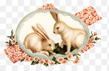 Easter Bunnies Vintage Transparent Png - Stickpng Vintage Easter Bunny Clipart,Easter Transparent