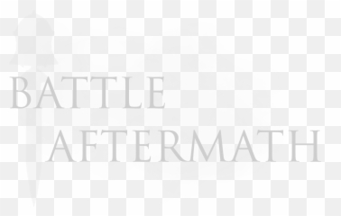 Skyrim Battle Aftermath Se Special Edition Nexus - Azerbaijan Land Of Fire png