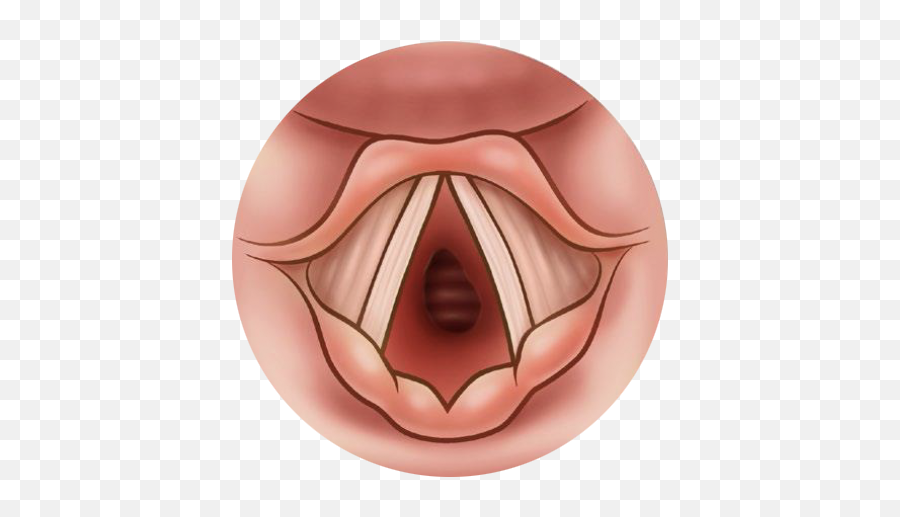 Pediatirc Tracheostomy Handbook Patient And Family - Ugly Png,Jawbone Icon Charger Replacement