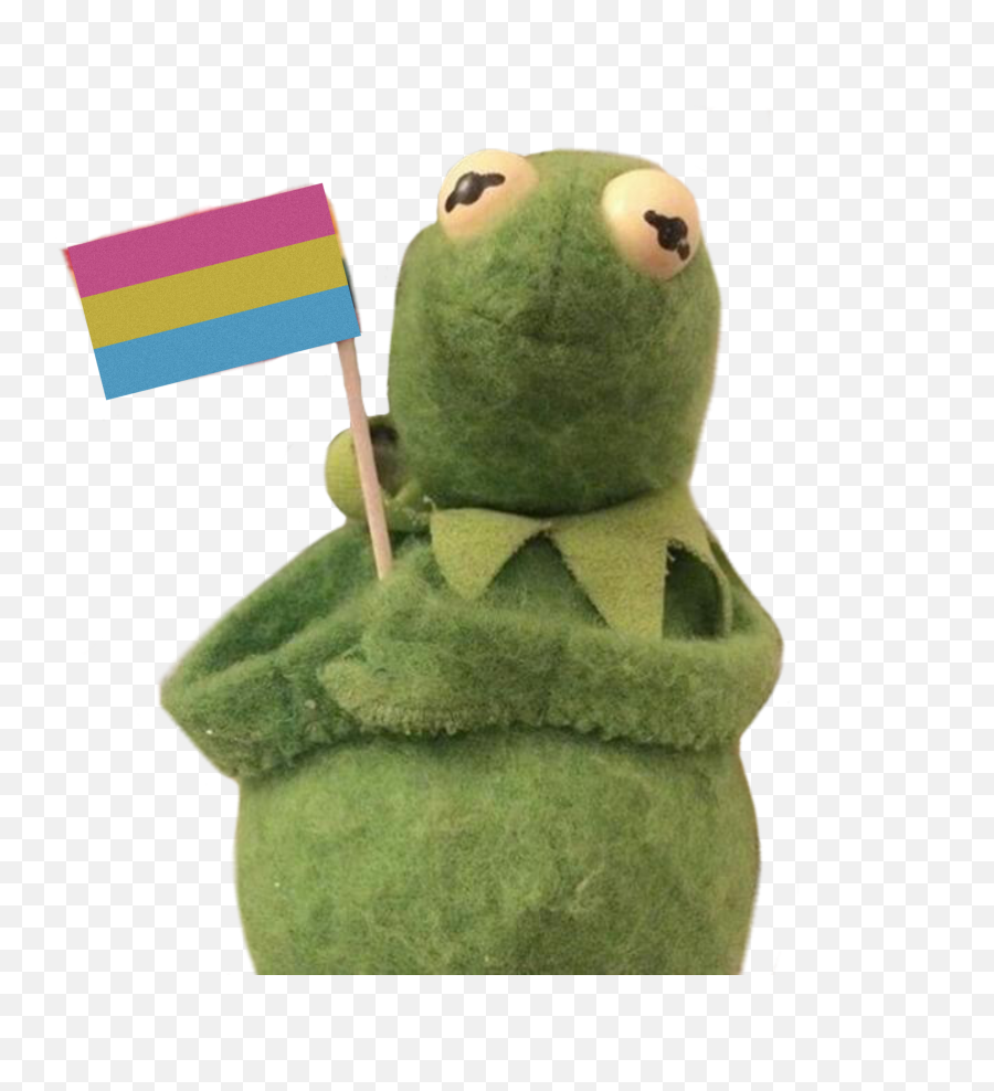 Freetoedit Kermit Pansexual Panflag Pride Panpride Pans - Kermit Stickers Png,Kermit Png