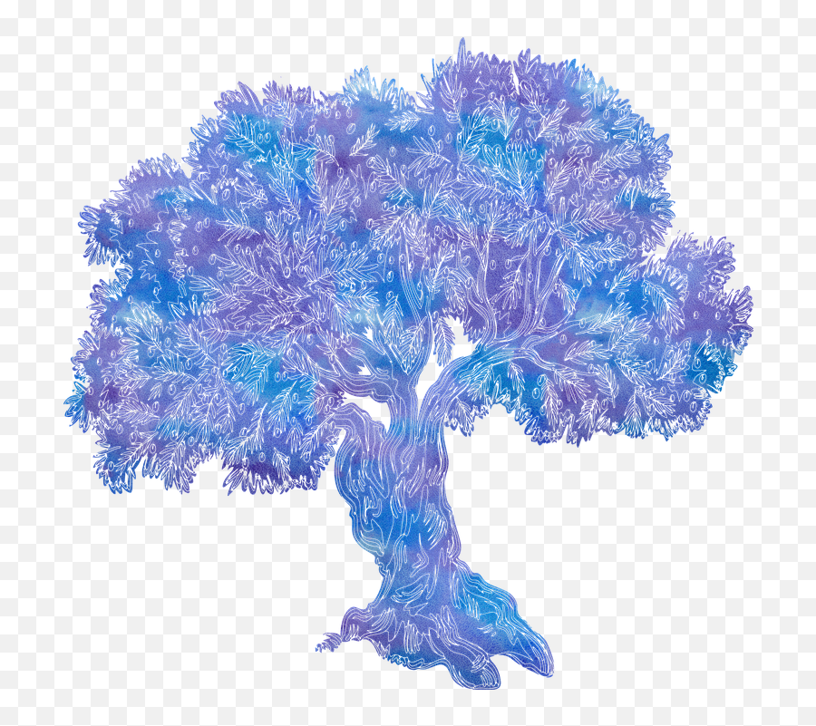 Free Photo Olive Tree Gnarled Blue Painted Purple Png Leaf Icon