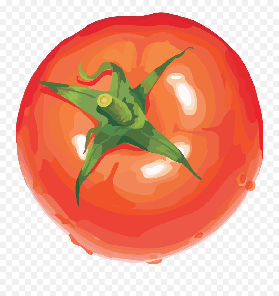Tomato Transparent Png File Clipart