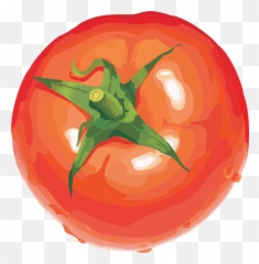 Tomato Transparent Png File Clipart