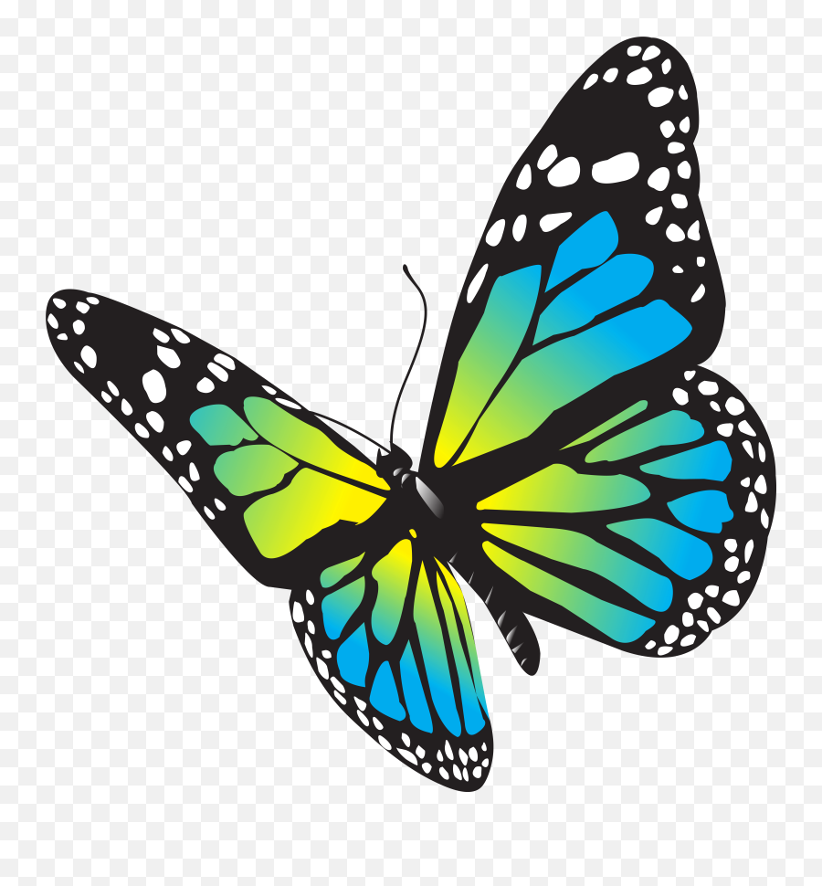 Large Butterfly Clipart Png