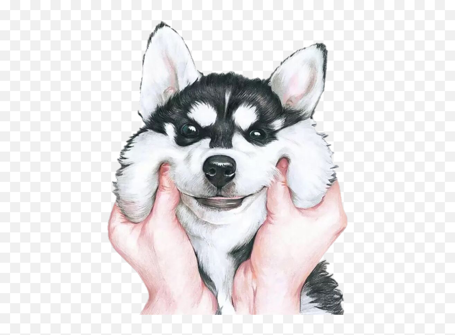 Husky Transparent Tumblr Picture 1413953 - Husky Stickers Png,Cachorro Png